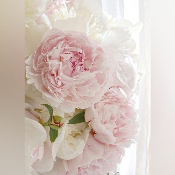 30%OFF on 2 OR MORE ITEMS - Picture 9 of 16